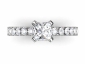 Diamond ring SAP36 birds eye view